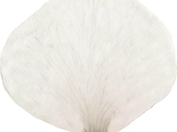 Petals texture (ID:ffabg25353)