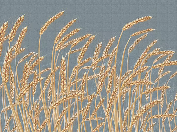 gray plant wallpaper texture (ID:ffach954201)