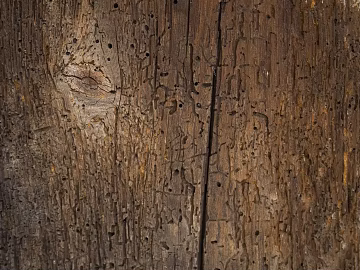 old wood texture (ID:ffaag31339)