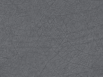 Coarse-grain leather 3d model