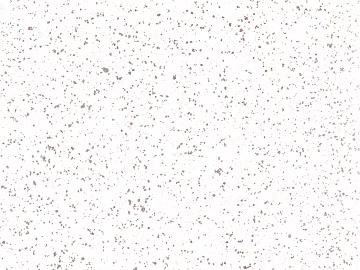 Ground glue texture (ID:ffagg02426)