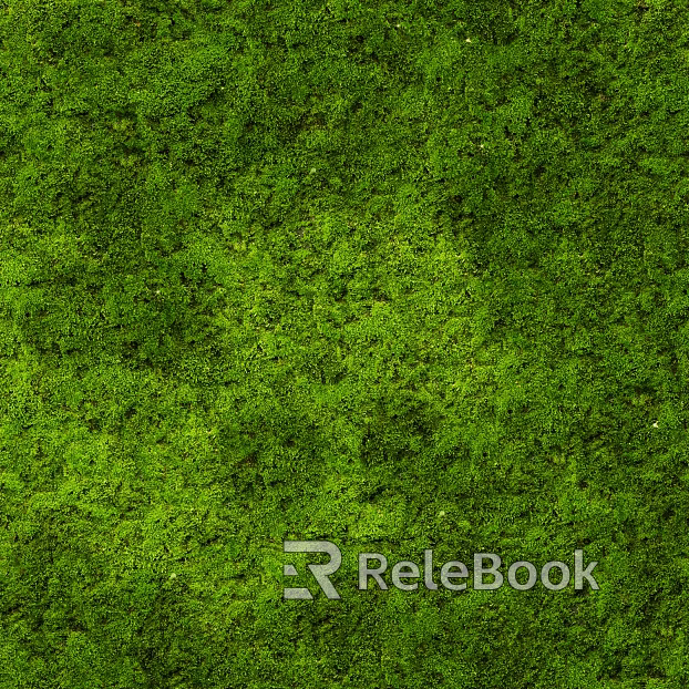 moss texture