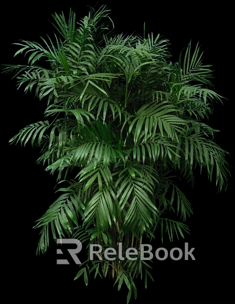 Plants texture