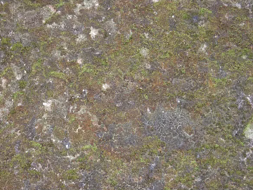 Turf texture (ID:ffabg30636)