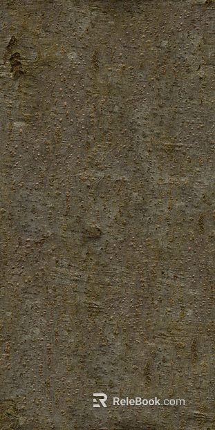 bark texture