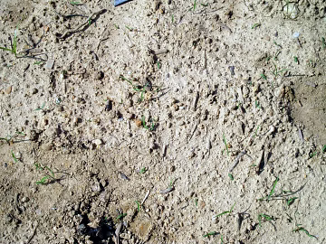 Mud texture (ID:ffabg11360)