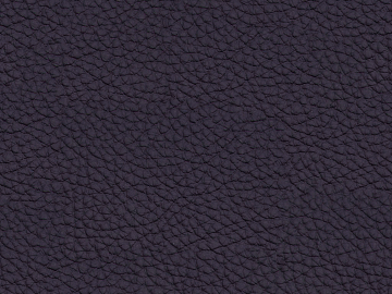 Coarse-grain leather texture (ID:ffacg28420)