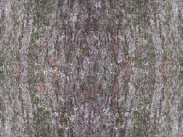 bark texture (ID:ffaif5347)