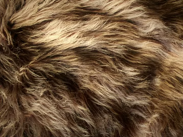 animal fur texture (ID:ffabg55031)