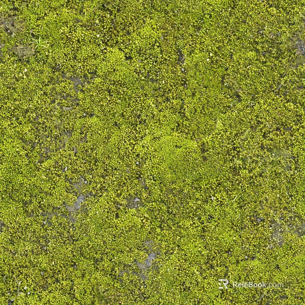 moss texture