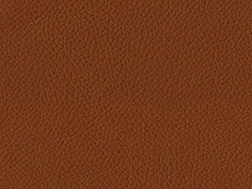 fine grain leather texture (ID:ffaag79808)