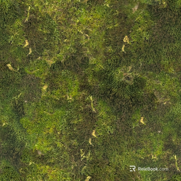 Turf texture