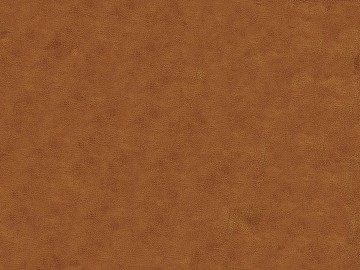 fine grain leather texture (ID:ffaeg56184)