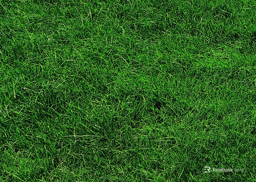 Turf texture