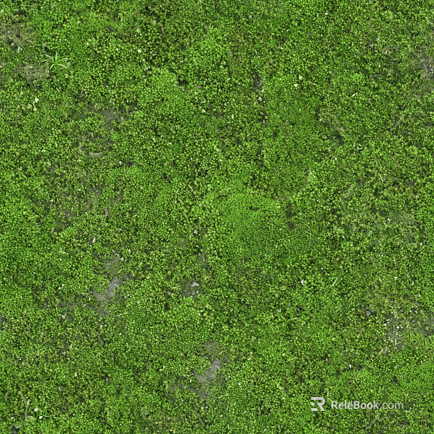 moss texture