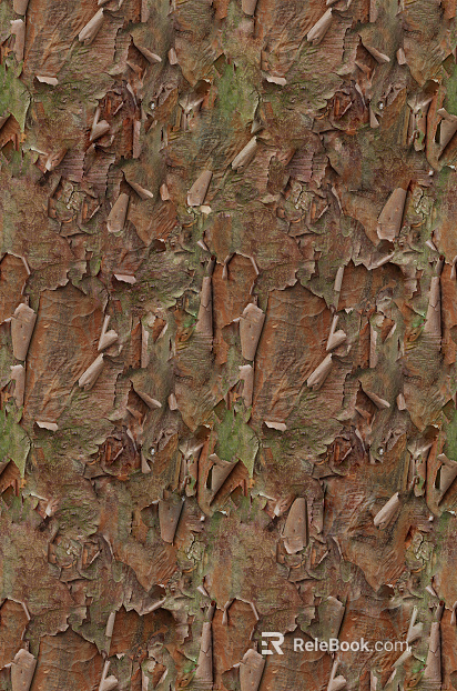 bark texture