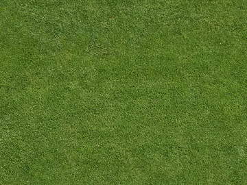 Turf texture (ID:ffacg19718)
