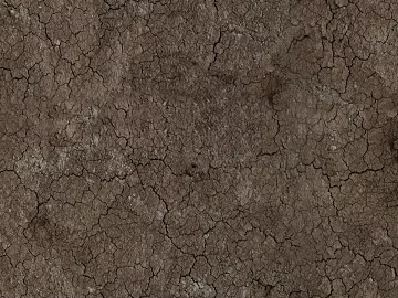 Mud texture (ID:ffacg40263)