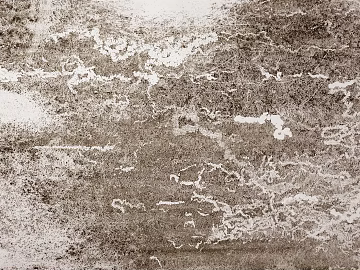 Cement texture (ID:ffacg08199)