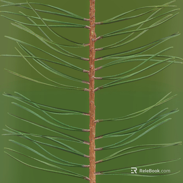 Plants texture