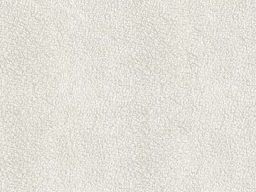 Plain pattern carpet 3d model