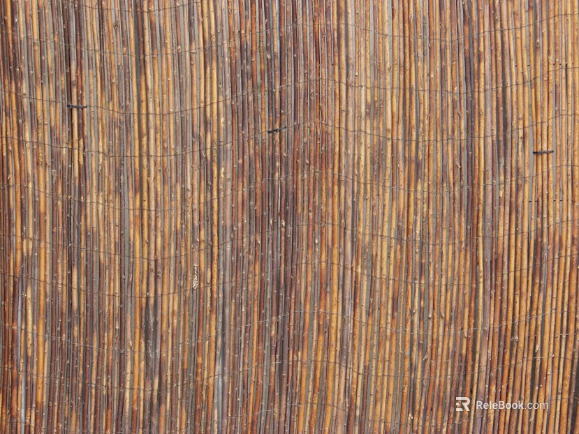 Bamboo texture