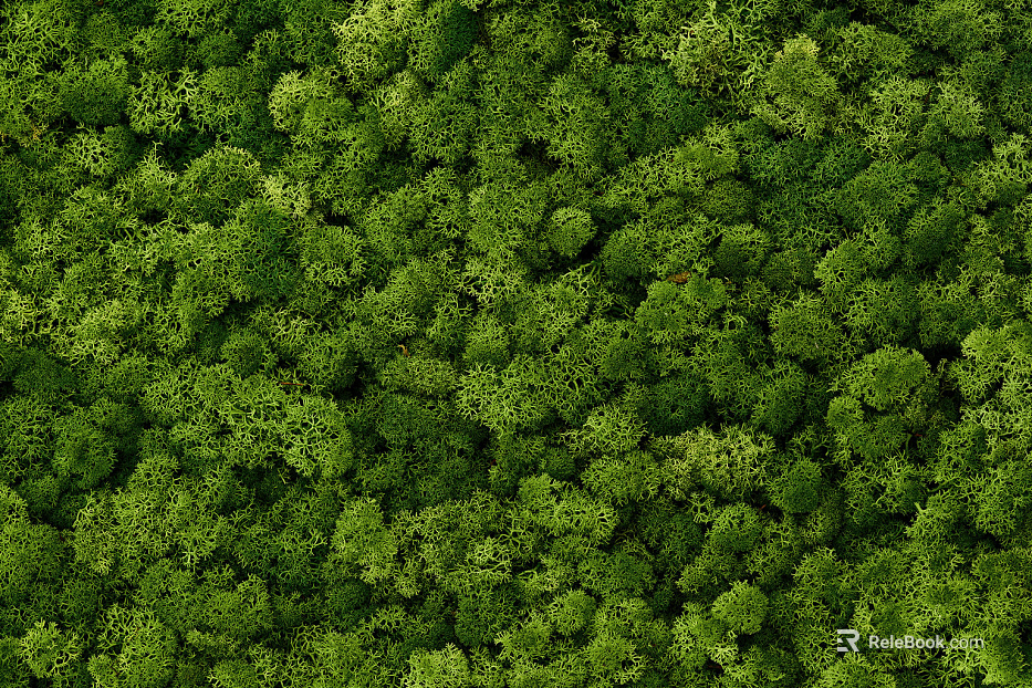 Modern green moss texture