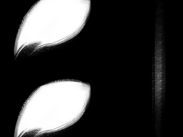 Black and white leaf normal map texture (ID:ffaeh678966)