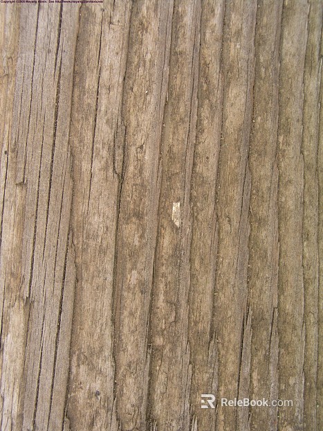 bark texture