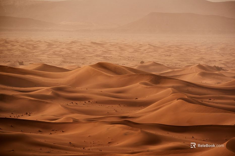 Desert texture