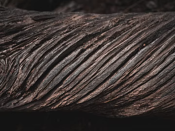 bark texture (ID:ffagg27730)