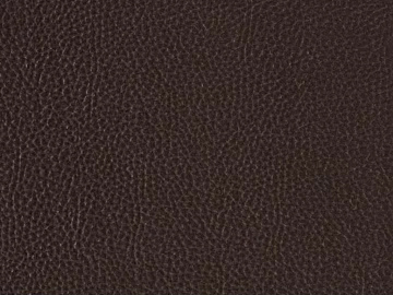 fine grain leather texture (ID:ffacg33266)