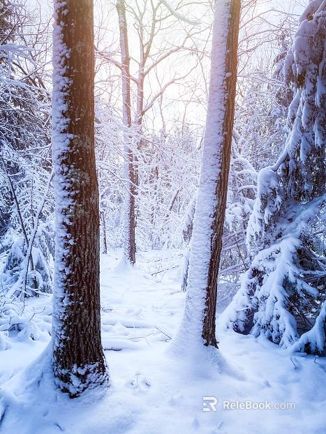 Snow texture