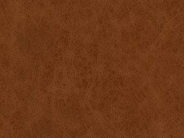 fine grain leather texture (ID:ffacg61950)