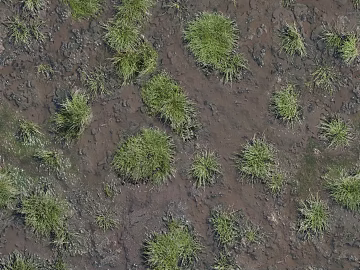 Turf ground 3d model