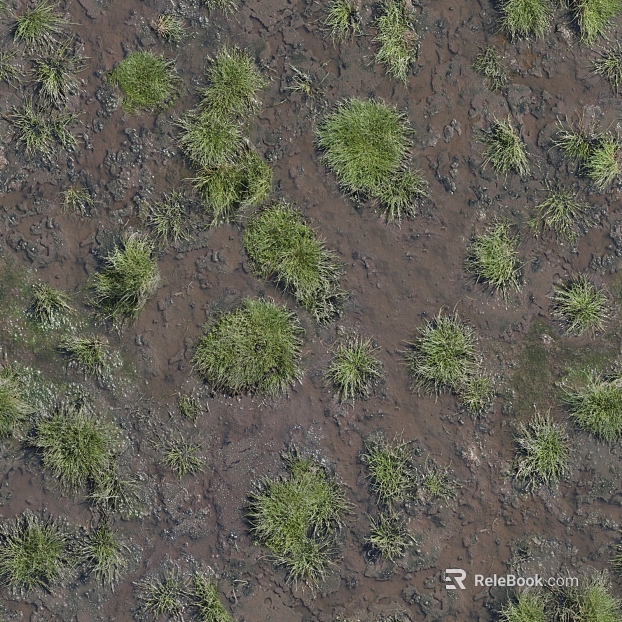 Turf ground texture