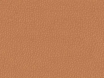 fine grain leather texture (ID:ffajg06754)
