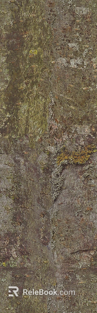 bark texture