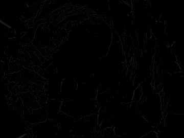 Black and white tree shadows texture (ID:ffaeh737726)