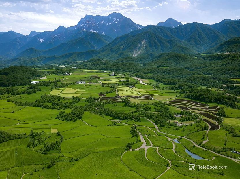 rural farmland texture