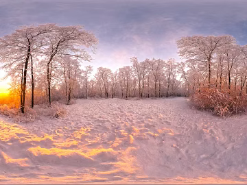 Outdoor Forest Snow Sunset HDR Map texture (ID:ffach180956)