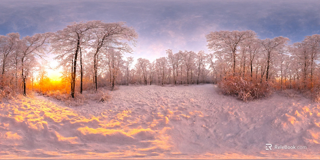 Outdoor Forest Snow Sunset HDR Map texture