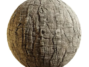 Bark PBR texture (ID:ffadg59082)