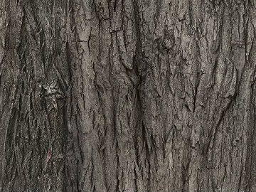 Dark gray bark natural decorative texture (ID:ffaeh518579)