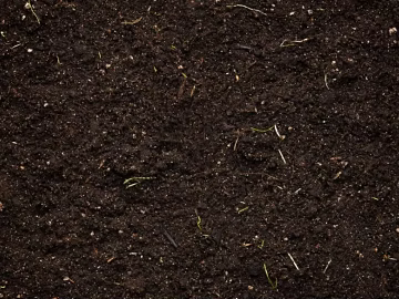 Mud texture (ID:ffaef8855)
