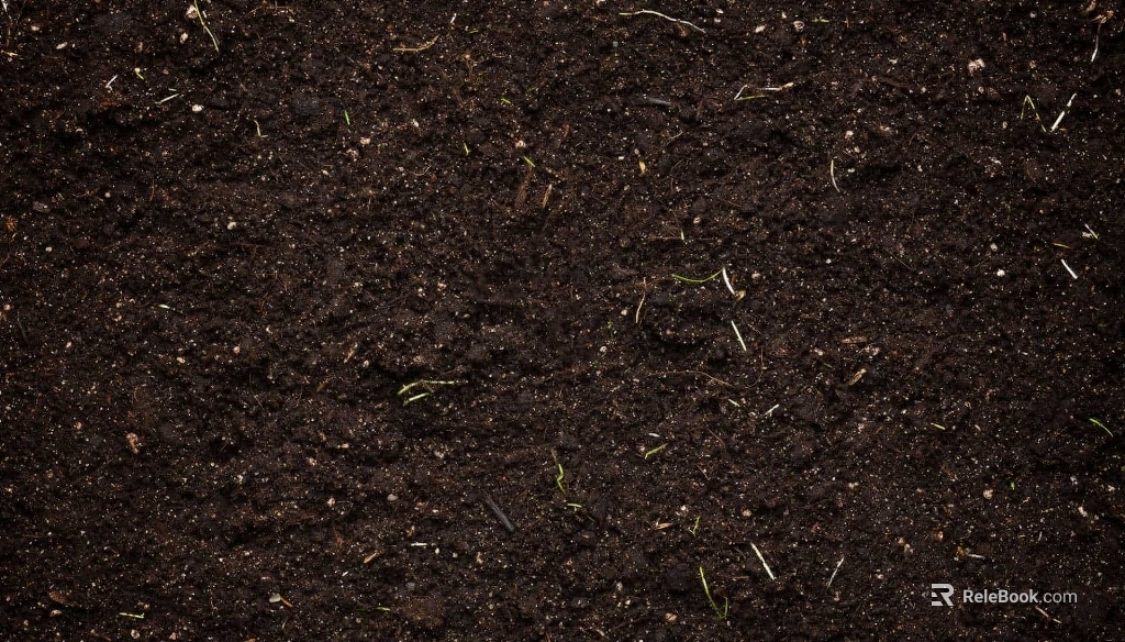 Mud texture