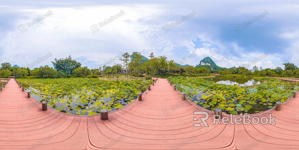 HDR Green Trailway Forest Leisure Riverside texture