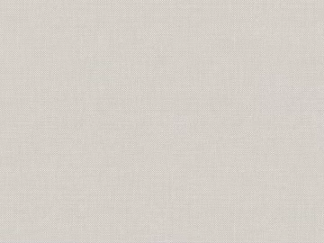plain cloth texture (ID:ffacg62514)