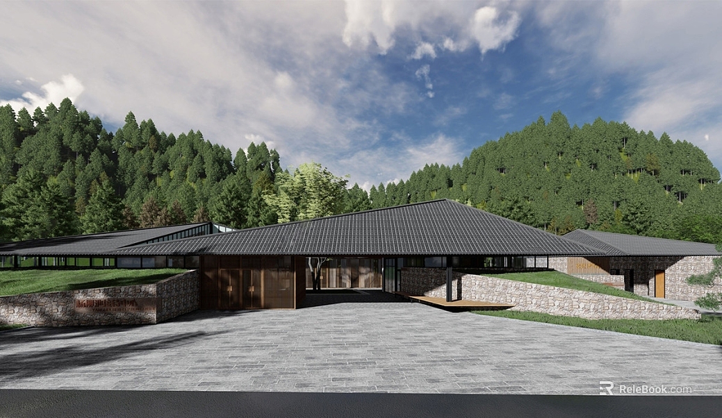 Appearance of new Chinese mountain forest building texture