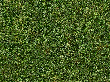 Turf texture (ID:ffacg19446)